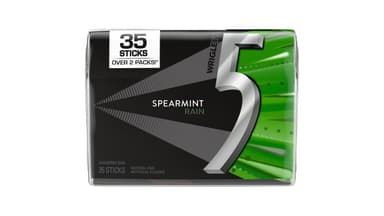 5 Gum Sugar Free Spearmint Rain Chewing Gum