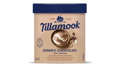 Tillamook Chocolate Peanut Butter Ice Cream