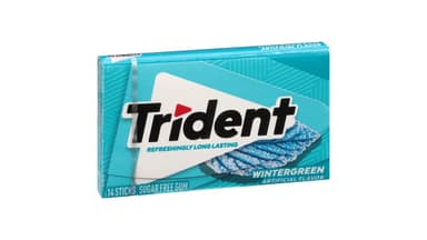 Trident Sugar Free Wintergreen Gum