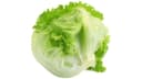 Iceberg Lettuce (each)