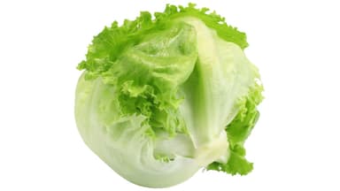 Iceberg Lettuce (each)