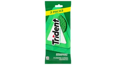Trident Sugar-Free Spearmint Gum