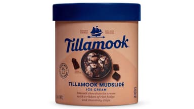 Tillamook Mudslide Ice Cream