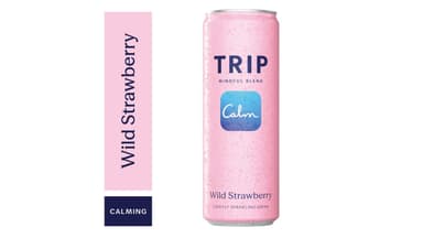 TRIP Drinks Wild Strawberry Mindful Blend Calming Magnesium Seltzer
