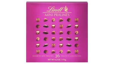 Lindt Assorted Chocolate Mini Pralines