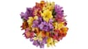 Rainbow Alstroemeria Flower Bouquet