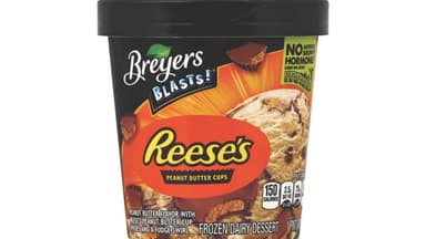 Breyers Blasts! Reese's Peanut Butter Cups Frozen Dairy Dessert