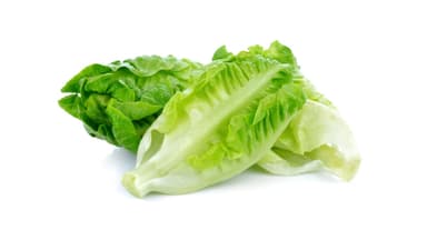 Romaine Hearts Lettuce