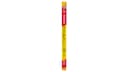 Slim Jim Original Smoked Snack Stick Giant Size