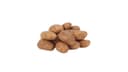 Russet Potatoes