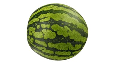 Whole Seedless Mini Watermelon (each)