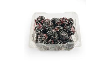 Blackberries
