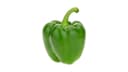 Green Bell Pepper (each)