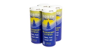 North Canna Co Higher Vibes Blueberry Citrus Hemp THC Seltzer 5 mg THC 10 mg CBD