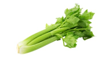 Organic Celery (each)