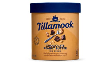 Tillamook Chocolate Peanut Butter Ice Cream