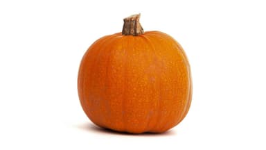 Regular Pumpkin (each)