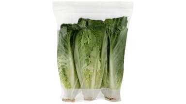Romaine Hearts Lettuce