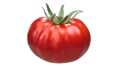 Red Tomato (each)