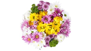 Darling Daisies Flower Bouquet
