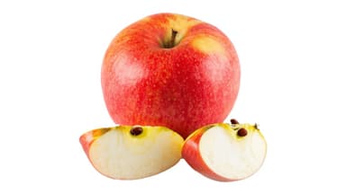 Honeycrisp Apple
