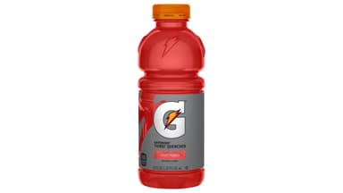 Gatorade Fruit Punch Thirst Quencher