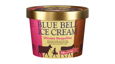 Blue Bell Creameries Ultimate Neapolitan Ice Cream