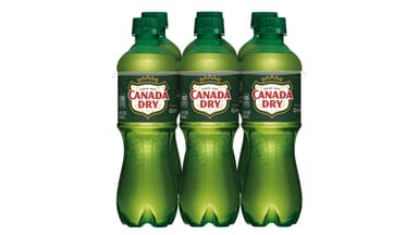 Canada Dry Ginger Ale