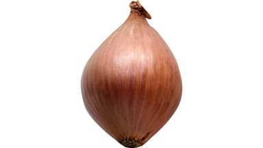 Shallot (each)
