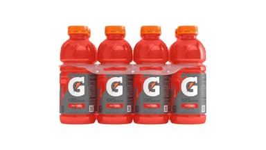 Gatorade Thirst Quencher Fruit Punch Sports Drink