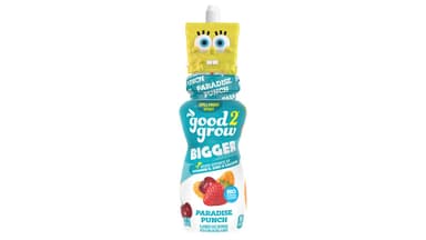 Good2Grow No Added Sugar Paradise Punch Flavored Juice Beverage