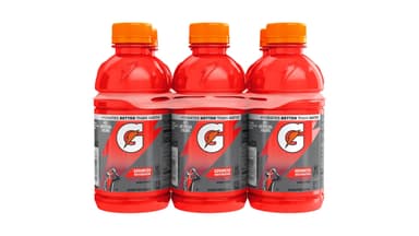 Gatorade Fruit Punch Sports Drink