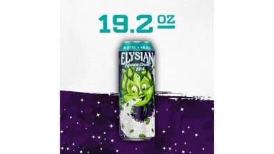 Elysian Brewing Space Dust IPA