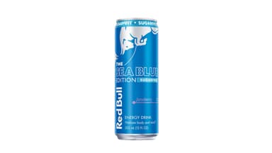 Red Bull Sugar Free Sea Blue Edition Juneberry Energy Drink