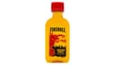 Fireball Cinnamon 66 Proof Whisky Plastic
